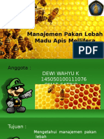 Manajemen Pakan Lebah Madu Apis Mellifera