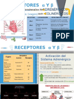 Receptores α y β