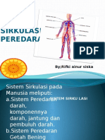 Sistem Peredaran Darah