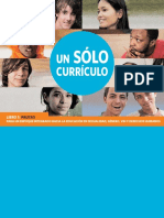 UnSoloCurriculumPautas