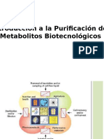 Introducción a la Purificación de  Metabolitos Biotecnológicos