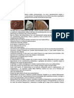 Rocas Metamorficas y Sedimentarias.pdf