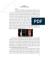 Tinjauan Pustaka dapus.docx