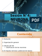 Neurona I 2016.pptx