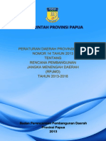 RPJMD PAPUA 2013-2018