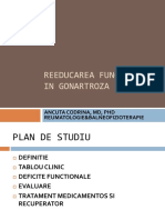 BFKT_ gonartroza_CAncuta_2013.pdf