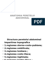 anatomia peretelui abdominal (1).ppt