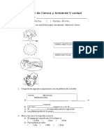 Evaluación de Gramática 