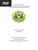 Download Lp Post Partum Sc by zummy SN327448282 doc pdf