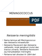 MENINGOCOCCUS.pptx