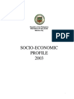 SEO-Optimized Title for Bulacan Socio-Economic Profile 2003