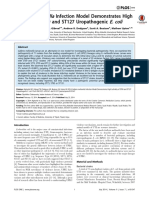 G. mellonella UPEC.pdf