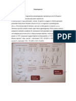 01.-Scurt-istoric.-Gametogeneza.-Ovulatie.-Fecundatie.-Nidatie.-Placentatia.pdf