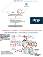 VHC grup.pdf