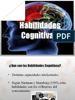 Habilidades Cognitivas