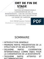 Présentation Rapport de Fin de Stage