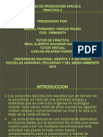 practica_3_apicola_Miguel_Vargas_Rojas.pdf