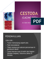 Cestoda PDF