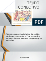 TEJIDO CONECTIVO