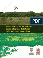 Fichas de Patrones coberturas 2002.pdf