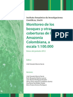 Monitoreo de Bosques Amazonia 2013-Interactivo