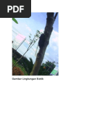 Download Gambar Lingkungan Biotik Dan Abiotik by Zainudin SN327540348 doc pdf