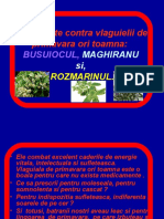 TREI PLANTE MIRACULOASE - Pps