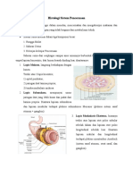 Histologi Sistem Pencernaan Rangkuman-Dea