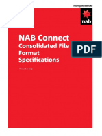 NAB Connect Consolidated File Format Specification_V0.05
