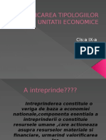 Identificarea Tipologiilor Unitatii Economice