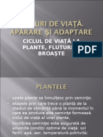 Ciclul de Viata La Plante Fluturi Si Broaste