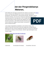 Hygiene Lalat Dan Pengendaliaanya Di Industri Makanan