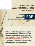 Materi 1 Hias Pendahuluan