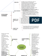 Cuadro Sinóptico