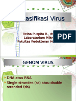 Klasifikasi Virus