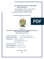 Informe 02