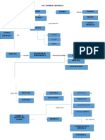 Mapa Conceptual