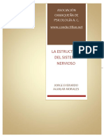 estructura_sistema_nervioso.pdf