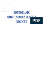 Slides - Identificando Oportunidades de Novos Negócios