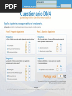 DN4 | PDF