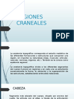 Regiones Craneales