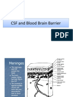 CSF and Blood Brain Barrier
