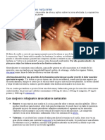 Relajantes Musculares Naturales