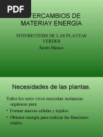 INTERCAMBIOS DE MATERIAY ENERGIA Fotosintesis Sexto Basico