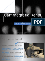 Gammagrafía Renal