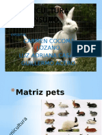 Matriz Pets Conejos