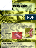 Programa Reducción de Patogenos (PRP)