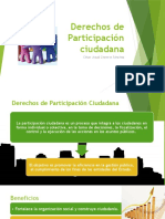 Derechos de Participacion