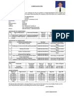 Curriculum Vitae