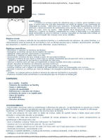 Prática e Experiências Na Educação Infantil..